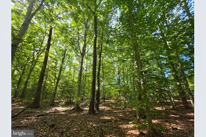 3 Acres Belsches Road, Bumpass, VA 23024 - Photo 7