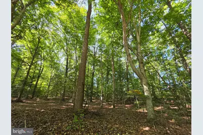3 Acres Belsches Road, Bumpass, VA 23024 - Photo 5