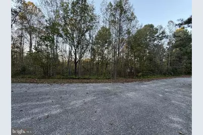 Arabian Court, Louisa, VA 23093 - Photo 3