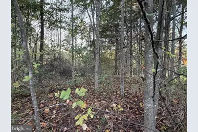 Arabian Court, Louisa, VA 23093 - Photo 17