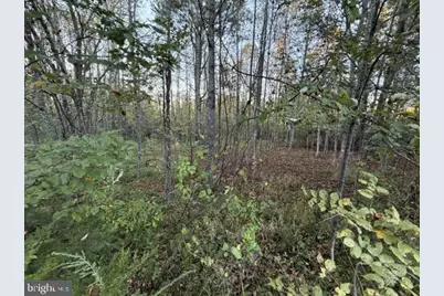 Arabian Court, Louisa, VA 23093 - Photo 1