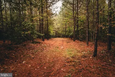 0 Cross County Road, Mineral, VA 23117 - Photo 51
