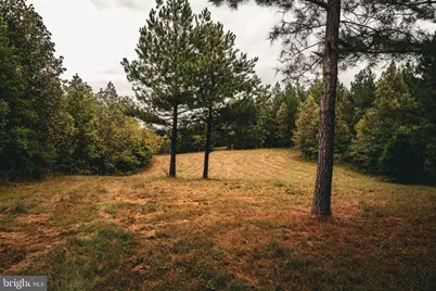 0 Cross County Road, Mineral, VA 23117 - Photo 21