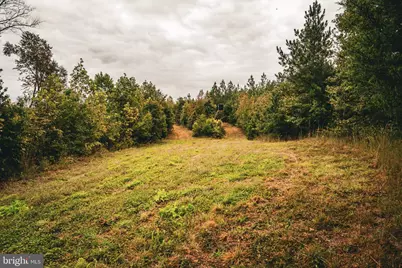 0 Cross County Road, Mineral, VA 23117 - Photo 27
