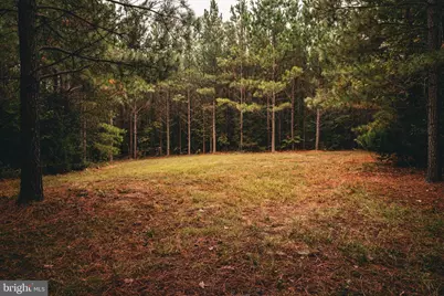 0 Cross County Road, Mineral, VA 23117 - Photo 53