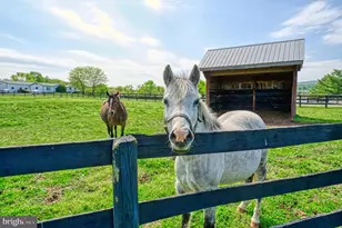 36181 Foxlore Farm Ln, Round Hill, VA 20141 - Photo 75