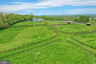 36181 Foxlore Farm Ln, Round Hill, VA 20141 - Photo 77