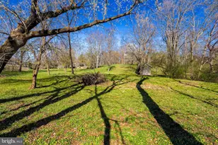 37275 Charles Town, Hillsboro, VA 20132 - Photo 5