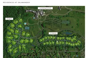 505 Martingale Rdg Dr, Middleburg, VA 20117 - Photo 45