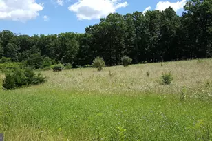 40642 Gallorette Pl, Leesburg, VA 20175 - Photo 1