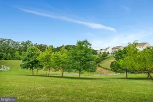 43084 Little Angel Ct, Leesburg, VA 20176 - Photo 39