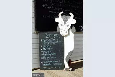 35771 Snake Hill Road, Middleburg, VA 20117 - Photo 61