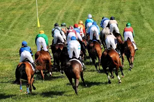 35771 Snake Hill Rd, Middleburg, VA 20117 - Photo 57