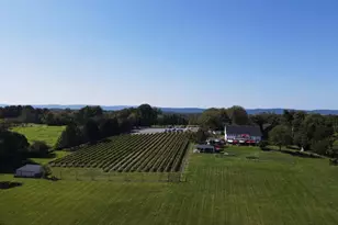 16804 Hamilton Station Rd, Hamilton, VA 20158 - Photo 13