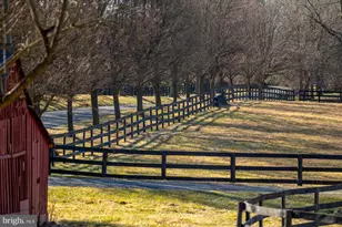 18935 Yellow Schoolhouse Rd, Bluemont, VA 20135 - Photo 67