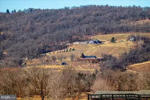 18935 Yellow Schoolhouse Rd, Bluemont, VA 20135 - Photo 71