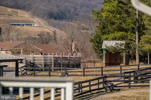 18935 Yellow Schoolhouse Rd, Bluemont, VA 20135 - Photo 59