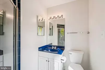 308 Sinegar Place, Potomac Falls, VA 20165 - Photo 53