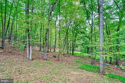 37740 Long Lane, Lovettsville, VA 20180 - Photo 47