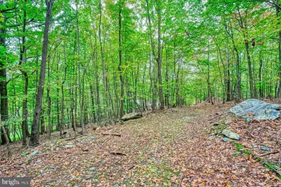 37740 Long Lane, Lovettsville, VA 20180 - Photo 49