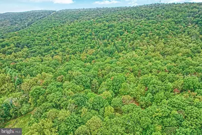 37740 Long Lane, Lovettsville, VA 20180 - Photo 53