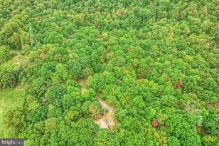 37740 Long Ln, Lovettsville, VA 20180 - Photo 51