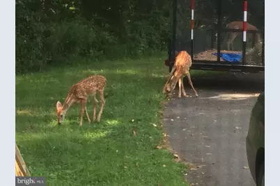 22247 Watson Road, Leesburg, VA 20175 - Photo 49