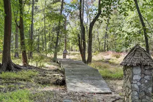 19935 Foggy Bottom Rd, Bluemont, VA 20135 - Photo 53