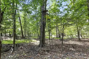19935 Foggy Bottom Rd, Bluemont, VA 20135 - Photo 55