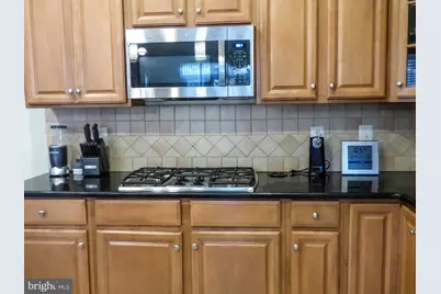 44529 Blueridge Meadows Drive, Ashburn, VA 20147 - Photo 5