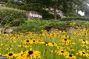 42120 Hazel Grv Ter, Ashburn, VA 20148 - Photo 17