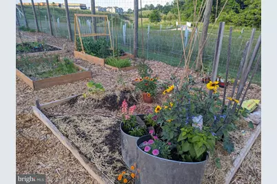 23603 Golden Embers Square, Ashburn, VA 20148 - Photo 65