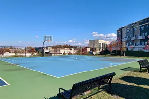 46320 Mount Milstead Ter, Sterling, VA 20164 - Photo 25