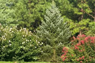 15779 Berkhamstead Pl, Leesburg, VA 20176 - Photo 33