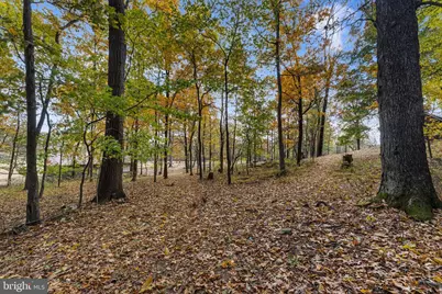 16559 Woodchase Lane, Round Hill, VA 20141 - Photo 19