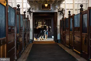 21846 Trappe Rd, Upperville, VA 20184 - Photo 41