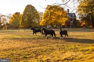 21846 Trappe Rd, Upperville, VA 20184 - Photo 43
