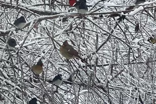 15700 Trapshire Ct, Waterford, VA 20197 - Photo 107