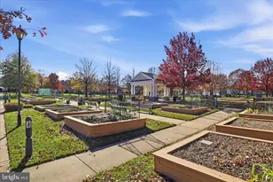 44420 Sunset Maple Dr, Ashburn, VA 20147 - Photo 41