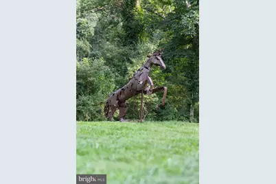 35162 Notre Dame Lane, Middleburg, VA 20117 - Photo 3