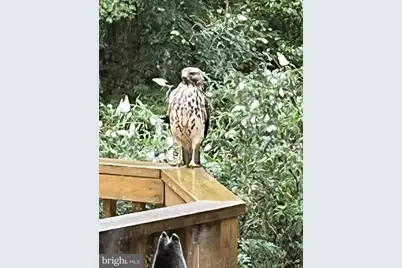 12080 Axline Road, Lovettsville, VA 20180 - Photo 49