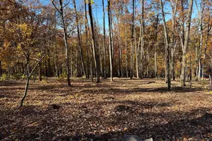 0 Digging Bear Ln, Purcellville, VA 20132 - Photo 1