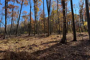0 Digging Bear Ln, Hillsboro, VA 20132 - Photo 1