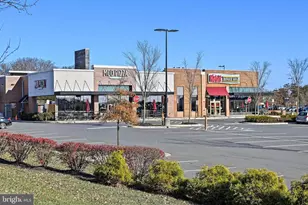 19872 Yellow Daisy Ter, Ashburn, VA 20147 - Photo 5