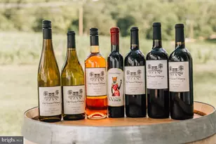 41122 Clearfield Mdw Dr, Aldie, VA 20105 - Photo 109