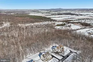 41640 Montacute Ln, Leesburg, VA 20176 - Photo 45