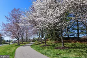 43312 Crystal Lake St, Leesburg, VA 20176 - Photo 79