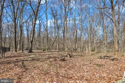 16633 Woodchase Lane, Round Hill, VA 20141 - Photo 75