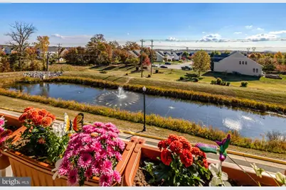 25312 Trumpet Vine Terrace, Aldie, VA 20105 - Photo 19