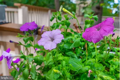 20503 Tanager Place, Leesburg, VA 20175 - Photo 23